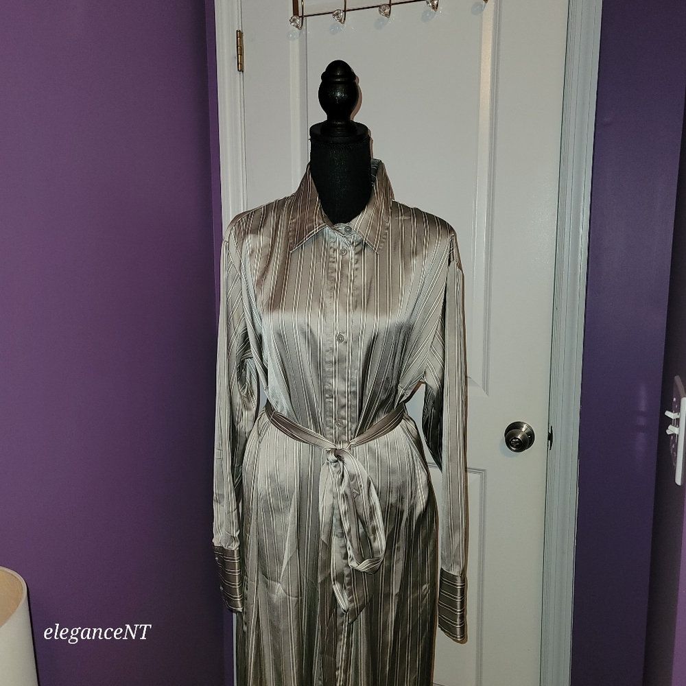 H & M Silver Striped Long Sleeve Button Down Dress Sz: L NWT - Picture 5 of 10